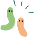 青虫