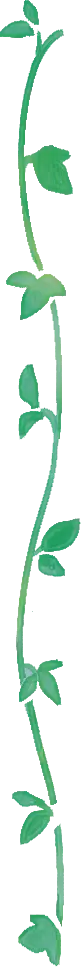 蔦