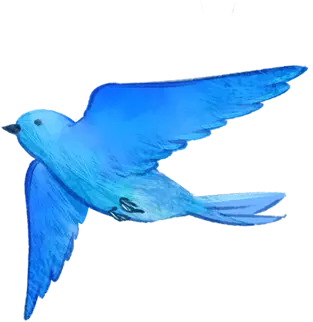 鳥