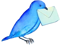 鳥